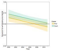 Figure 2. Estimated change in fall grizzly bear selection of whitebark pine habitats in the Greater Yellowstone Ecosystem during 2000–2011. Values above 0.5 indicate selection for whitebark habitat, while those below indicate selection against it. On aver