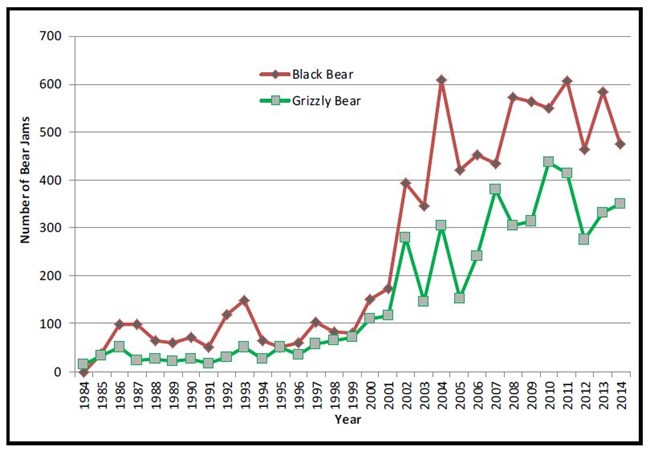 Figure 2.  The number of grizzly and black bear jams in Yellowstone National Park, 1984-2014.