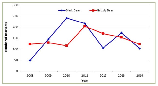 Figure 3.  The number of grizzly and black bear jams in Grand Teton National Park and the John D. Rockefeller, Jr. Memorial Parkway, 2008-2014.