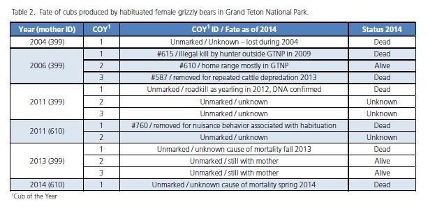 Table 2.  Fate of cubs produced by habituated female grizzly bears in Grand Teton National Park.