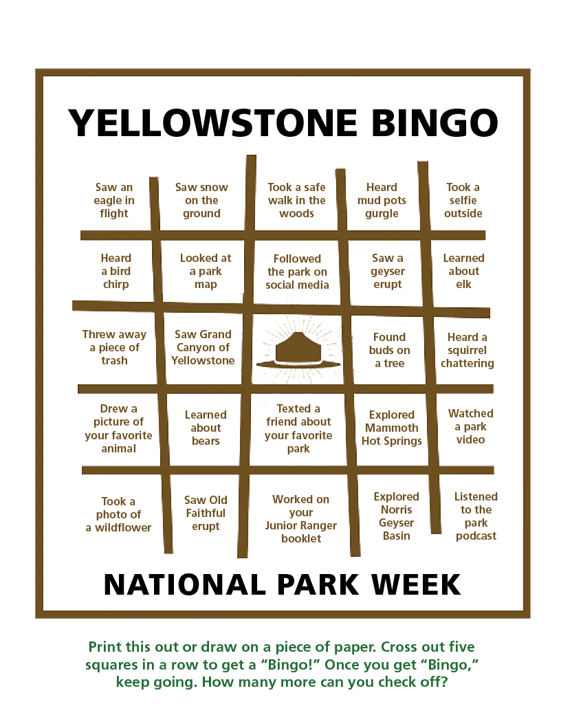 Bingo card with five rows and five columns of bingo squares
