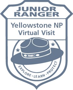 A graphic of a badge with the words: Junior Ranger Yellowstone NP Virtual Visit