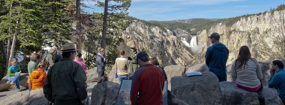 yellowstone national park jacket