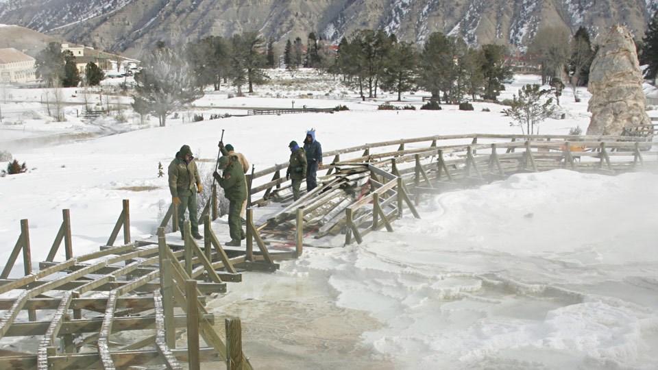 Maintenance crew working during winter to replace worn-out boardwalks Maintenance crew working during winter to replace worn-out boardwalks