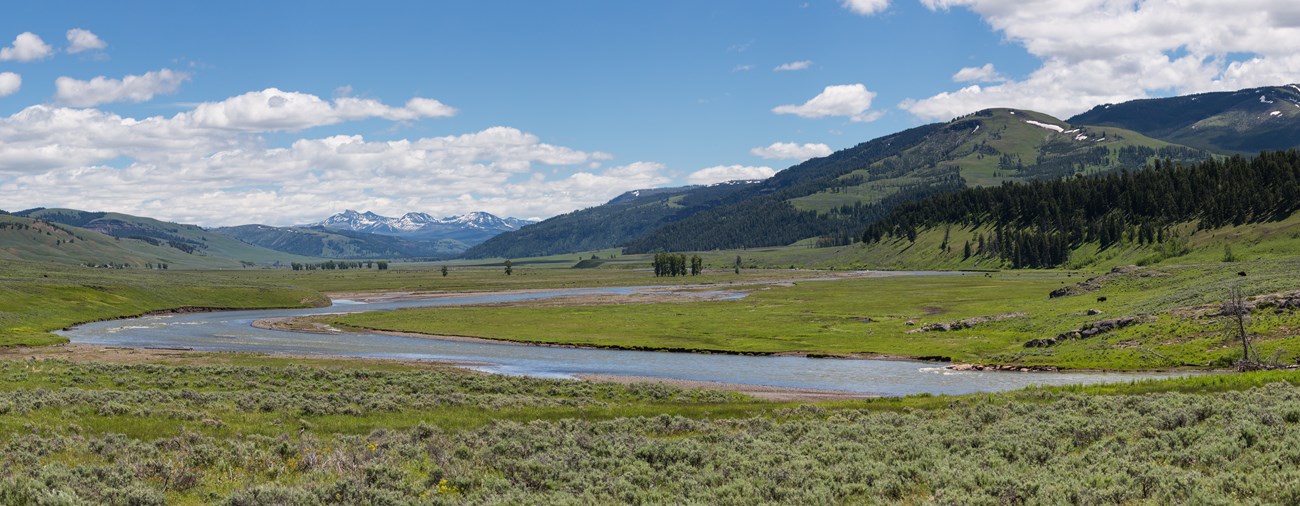 A large, wide valley green during summer