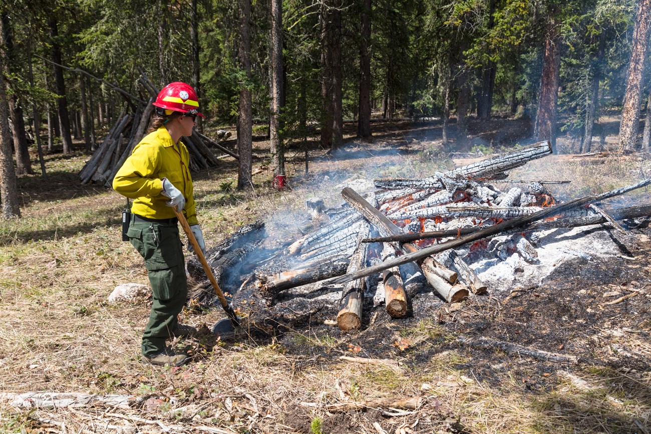 Pile Burning Plans for Sulphur Ranger District