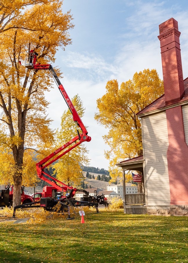 a person lifted up in a large crane trimming trees
