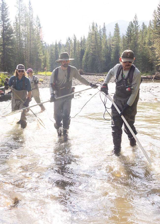 people walking through a river