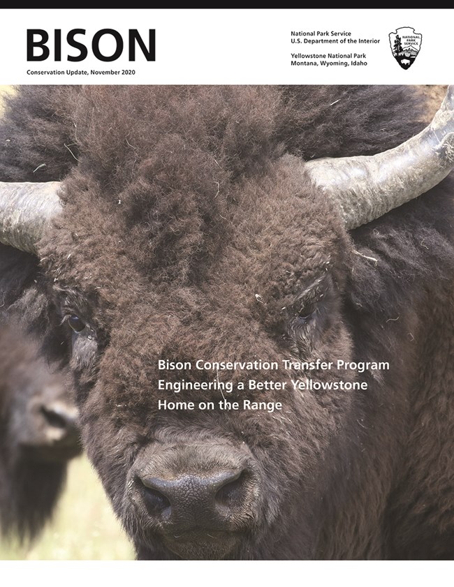 Cover of Bison Conservation Update 2020