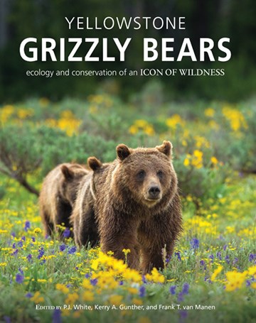 Cover of Yellowstone Grizzly Bears: Ecology and Conservation of an Icon of Wildness
