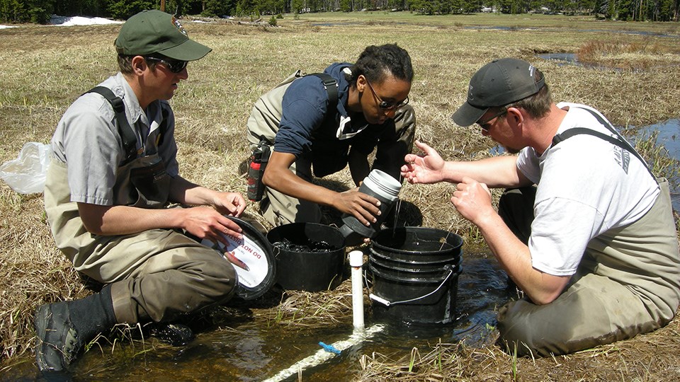 Physical Resources & Climate Science Branch