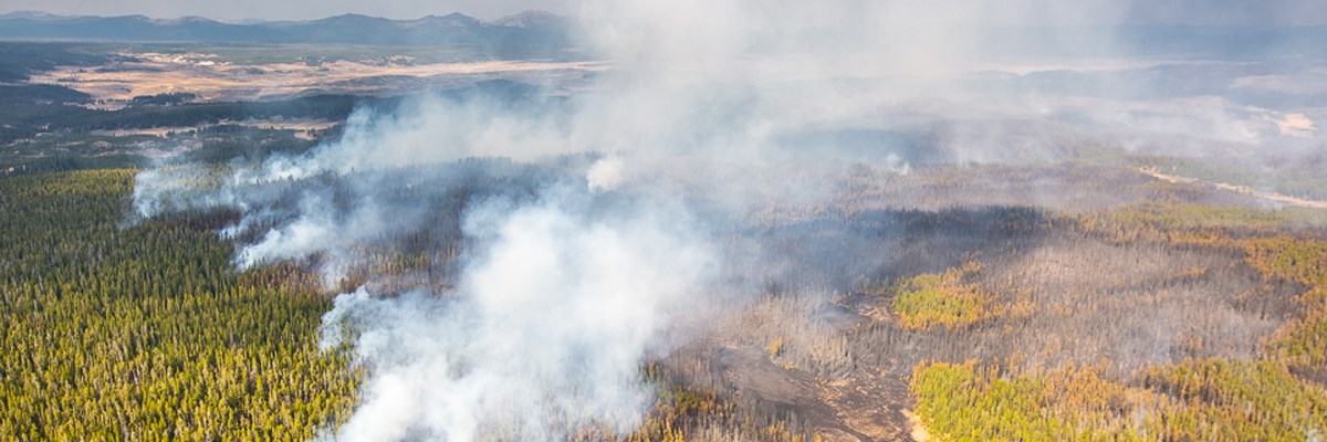 Aerial photo of smoke rising from green forest with patches of blackened areas Aerial photo of smoke rising from green forest with patches of blackened areas