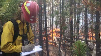 How To Control Your Campfire And Prevent It From Spreading
