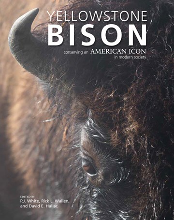 Cover of Yellowstone Bison: Conserving an American Icon in Modern Society Cover of Yellowstone Bison: Conserving an American Icon in Modern Society