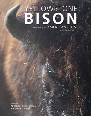 Cover of Yellowstone Bison: Conserving an American Icon in Modern Society