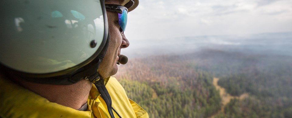 Fire effects personnel monitoring the 2015 Spruce Fire