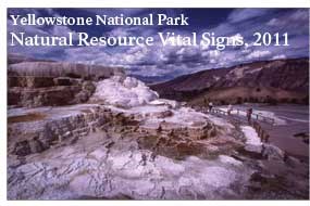 The cover of the 2011 Vital Signs Report highlights the Mammoth Terraces.