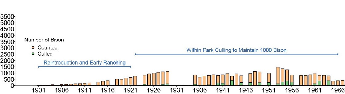Bison Management Timeline, 1901 to 1966