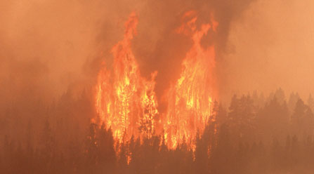 yellowstone fire national park service