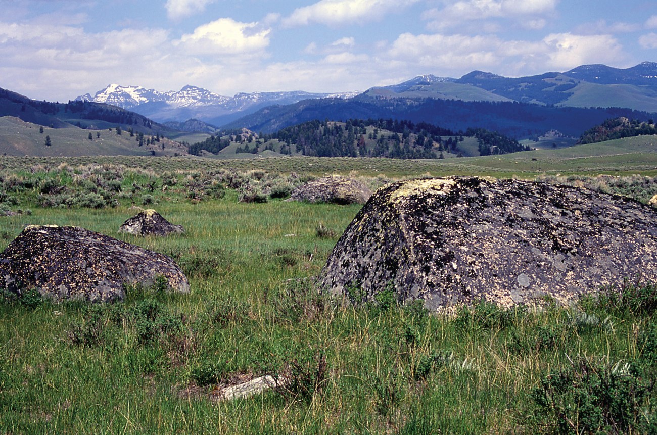 Looking out over the Northern Range at glacial erratics, ground moraines, and Cutoff Mountain in the distance.