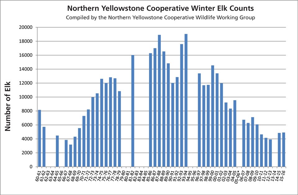 Yellowstone wolf population is declining | Hunt Talk