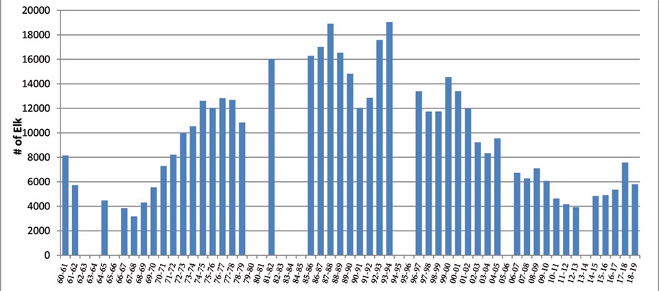 Chart of elk population from 1960 to 2019.