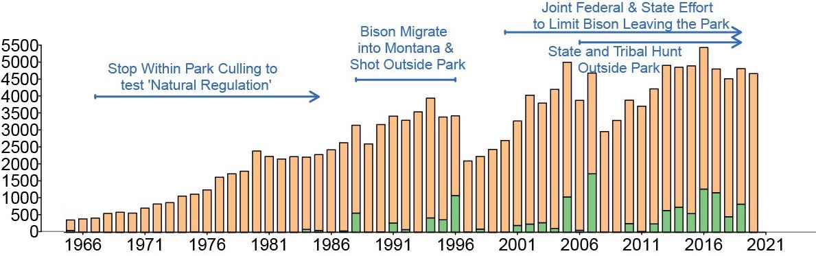 Bison Management Timeline, 1960 to Present