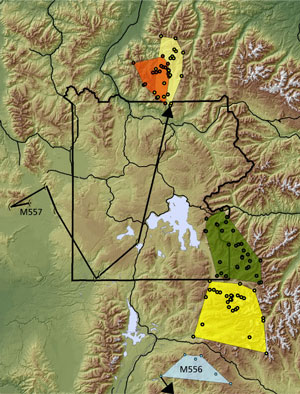 Wolverine - Yellowstone National Park (U.S. National Park Service)