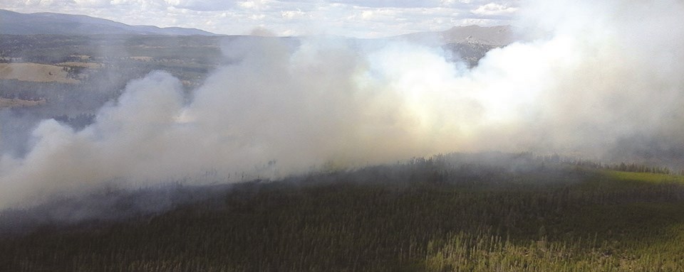 Smoke rises from a forested landscape.