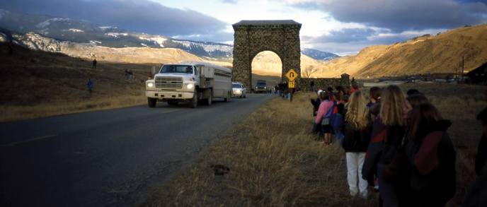 A truck and stock trailer followed pass through a stone arch A truck and stock trailer followed pass through a stone arch