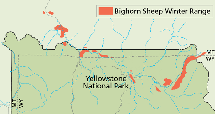 A map of the northern portion of Yellowstone National Park showing rivers and winter bighorn sheep range A map of the northern portion of Yellowstone National Park showing rivers and winter bighorn sheep range