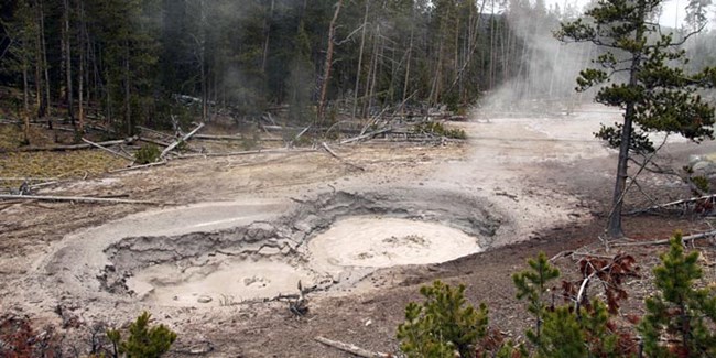 Steam rises from boiling mud surrounded by a forest