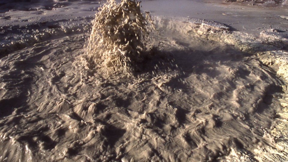 Archaea live is some of the hydrothermal features at Mud Volcano, like this boiling mudpot.