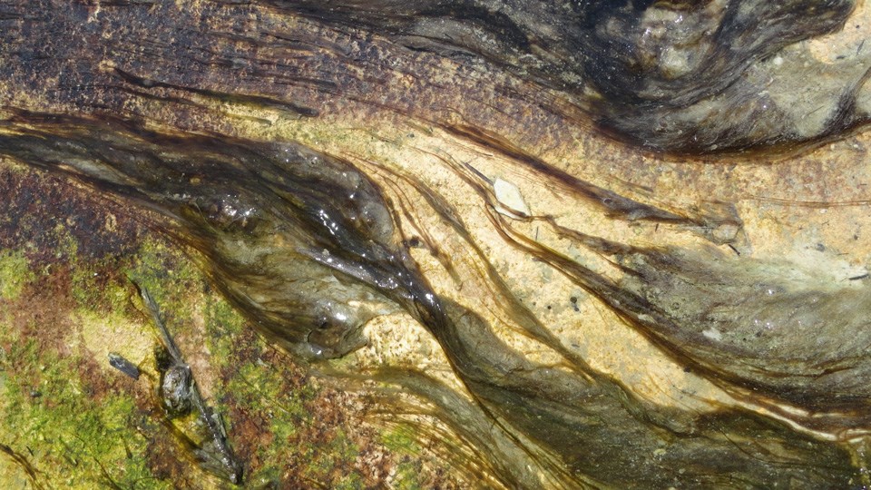 Green strands of algae growing in hydrothermal runoff Green strands of algae growing in hydrothermal runoff
