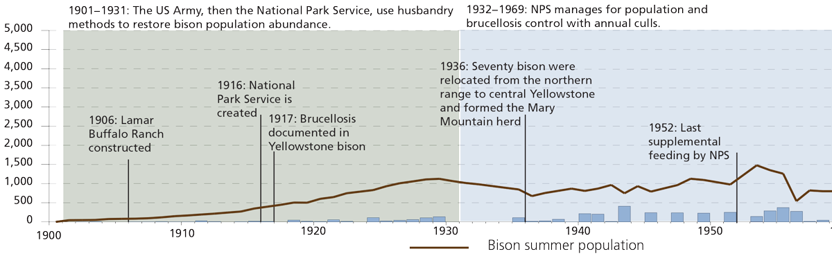 Extinction Timeline Chart