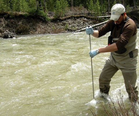 A man in waders holds a long stick with a cup on the end in the middle of a river