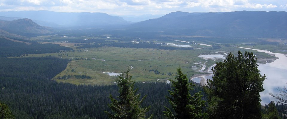 A wide view of a river delta surrounded by forested mountains A wide view of a river delta surrounded by forested mountains