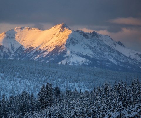 Orange sunlight illuminates the side of a snow-covered mountain peak above a snow-covered forest