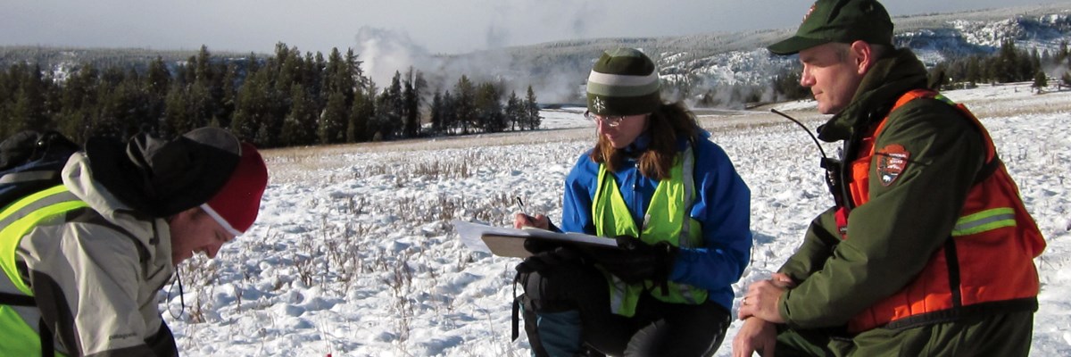 Two people in bright vests look down at the ground and notes as a park ranger looks on in a snow covered meadow Two people in bright vests look down at the ground and notes as a park ranger looks on in a snow covered meadow