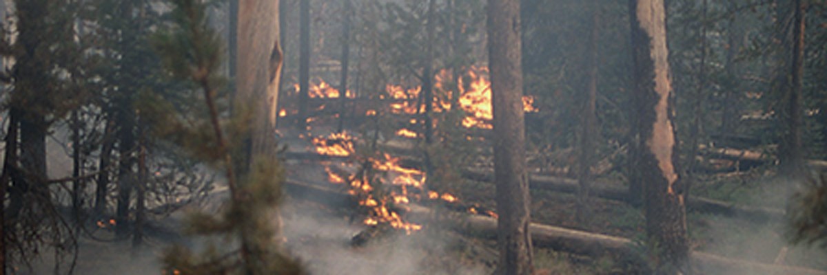 Fire - Yellowstone National Park (. National Park Service) Fire - Yellowstone National Park (. National Park Service)