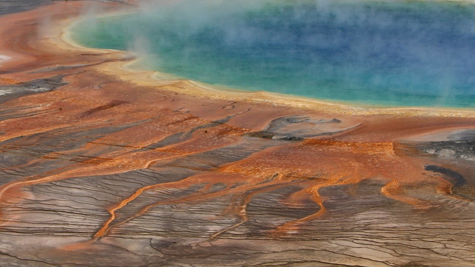 Rainbow colors of Grand Prismatic Spring are on display.