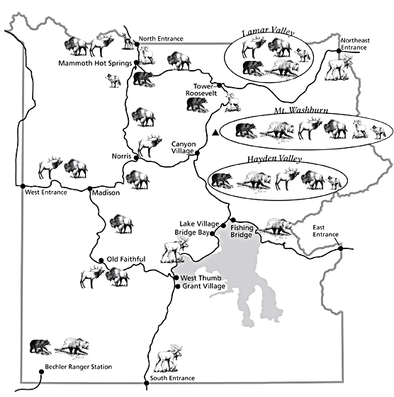 Image Result For Koa Locations Map Image Result For Koa Locations Map