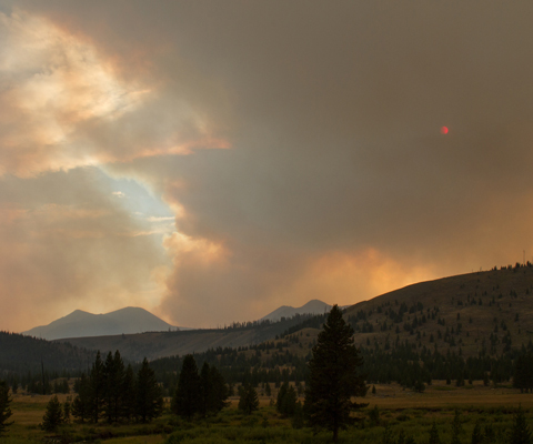 Smoky haze above an open forest with mountains in the background obscuring a cloudy sky and the sun