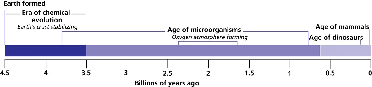 Timeline showing the dominant forms of life during earth's history