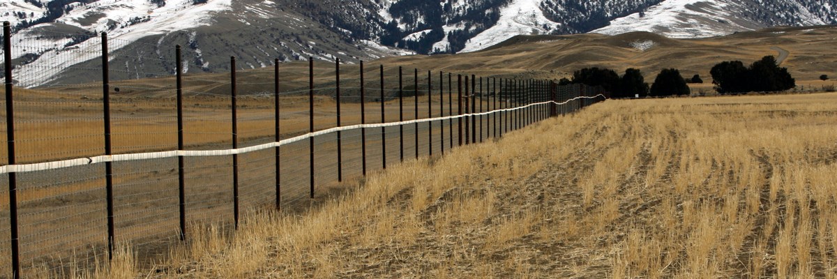 Restoring Native Plants Yellowstone National Park U S