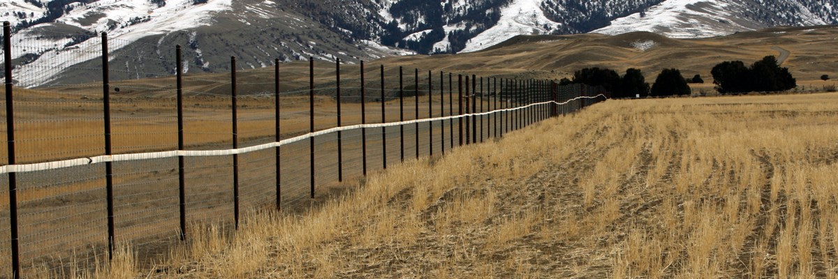 A sturdy fence marked by white fire hose encloses a field below mountains