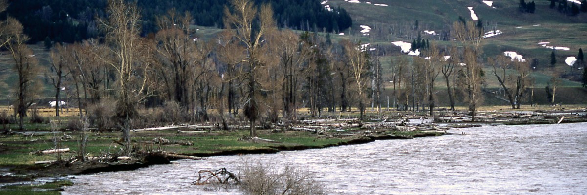 A muddy river cuts into shallow banks