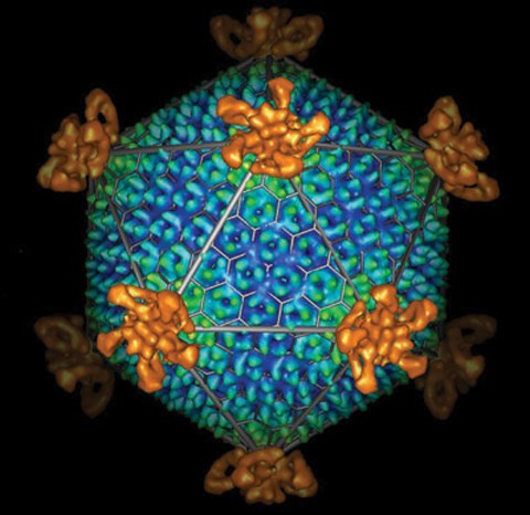 A magnified image of a blue, teal, and orange shape