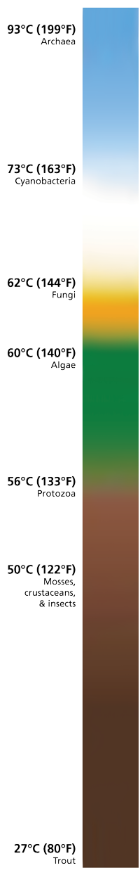 Temperate and color profile from hottest (blue) to coldest (brown) of life in Yellowstone.