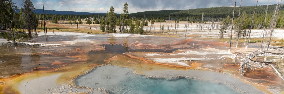 A bubbling blue pool of water with orange edges surrounded by other colorful pools and a forest edge